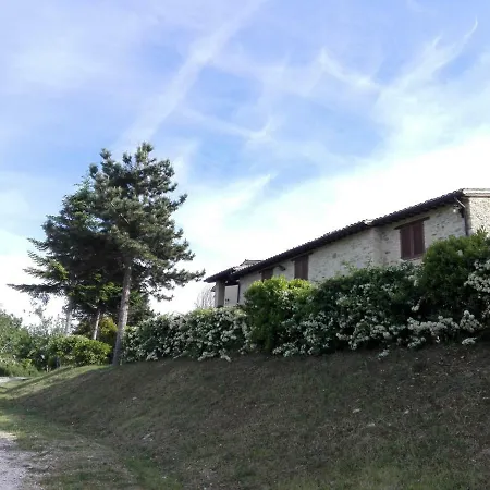 Colle Della Pace